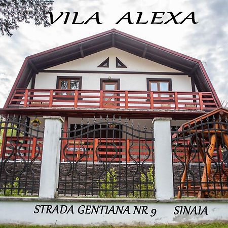 Villa Casa Alexa à Sinaia Extérieur photo