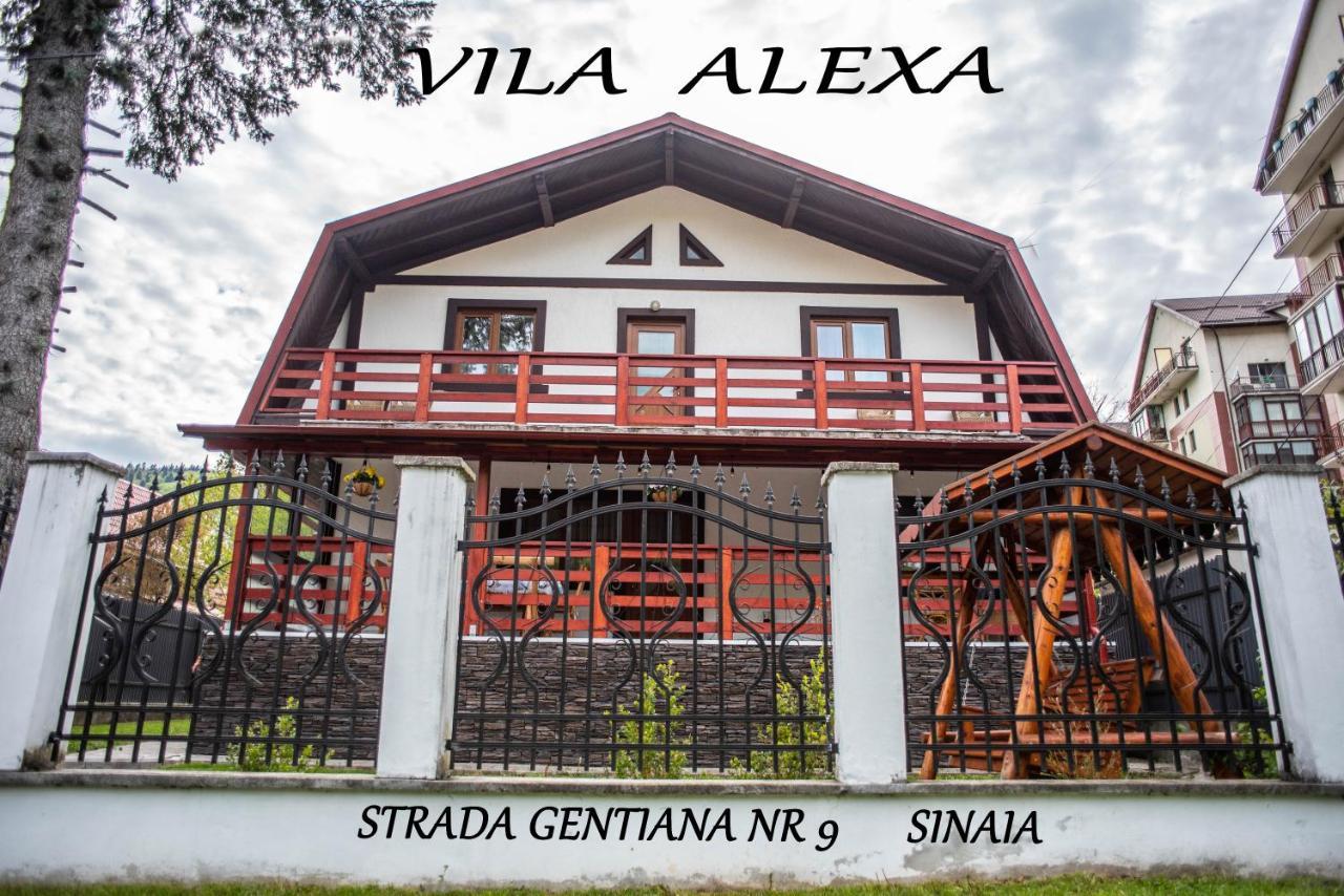 Villa Casa Alexa à Sinaia Extérieur photo